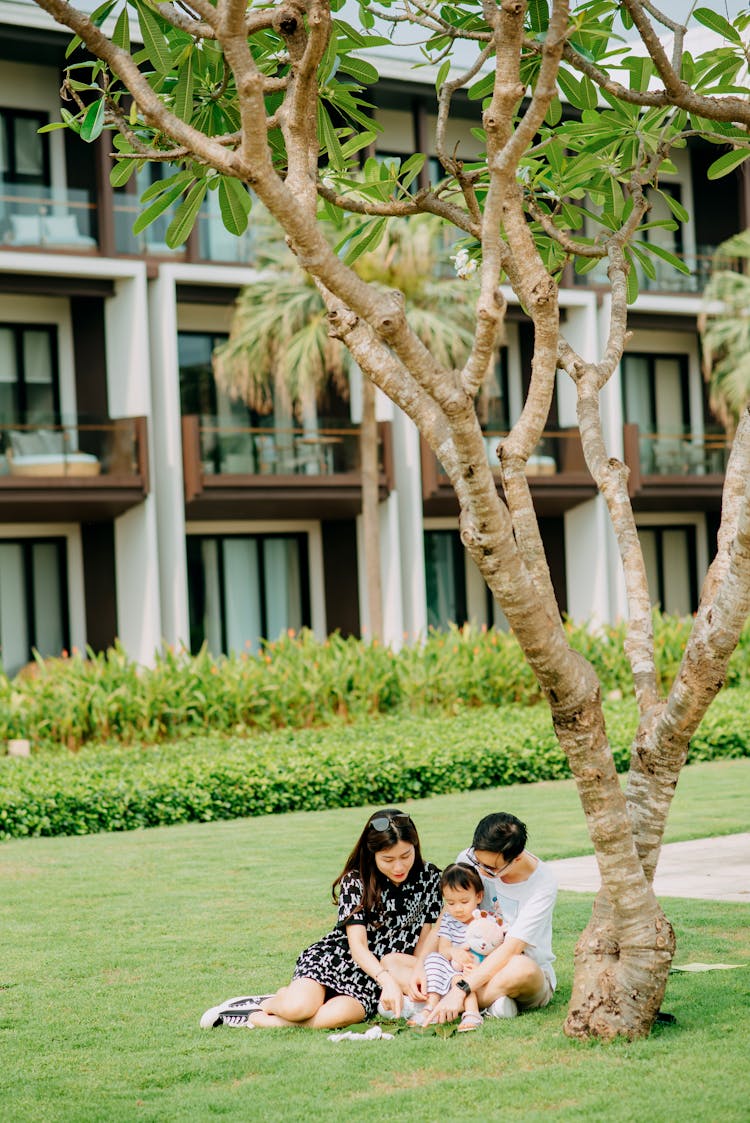 Positive Asian Family Resting Under Exotic Tree In Yard