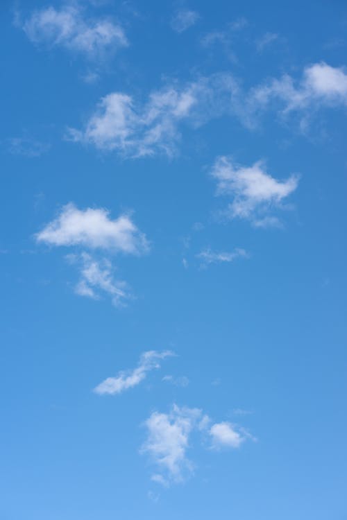 Free Blue Sky with White Clouds Stock Photo