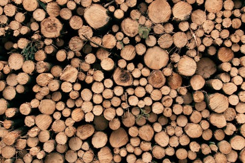 Pile of Brown Wooden Logs