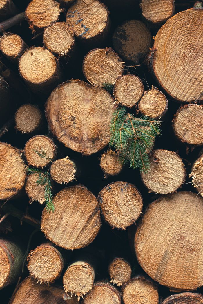 Stacked logs from a responsibly managed forest