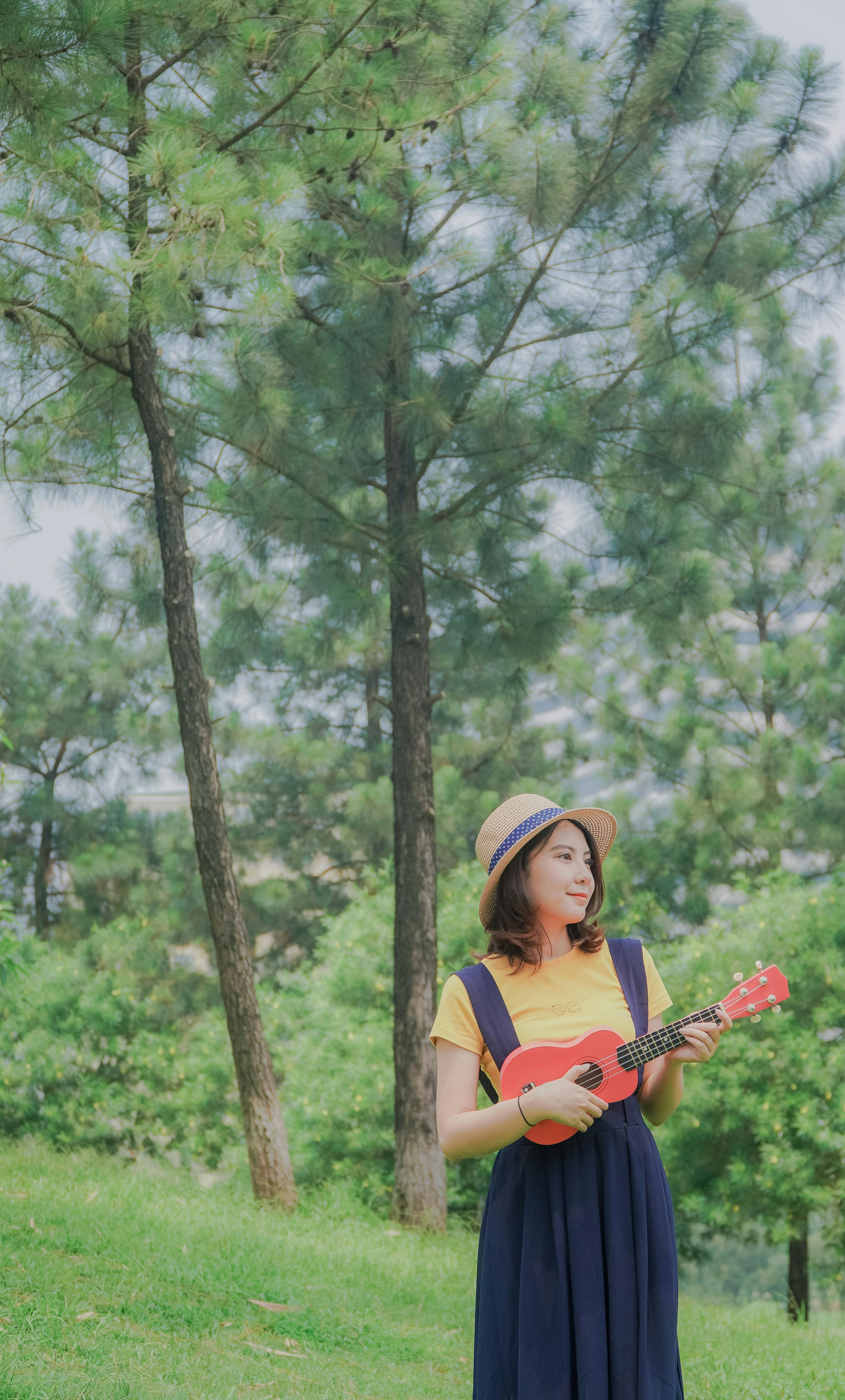 공원, 기타 치는, 나무의 무료 스톡 사진