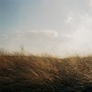 在部分多云的天空下，微风轻拂着宁静的草原，是自然爱好者的完美景象