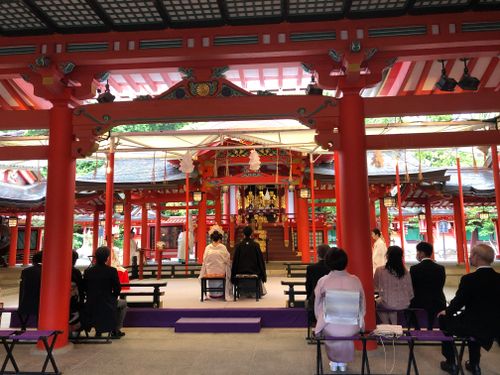 Free stock photo of japan, japanese culture, shinto Stock Photo
