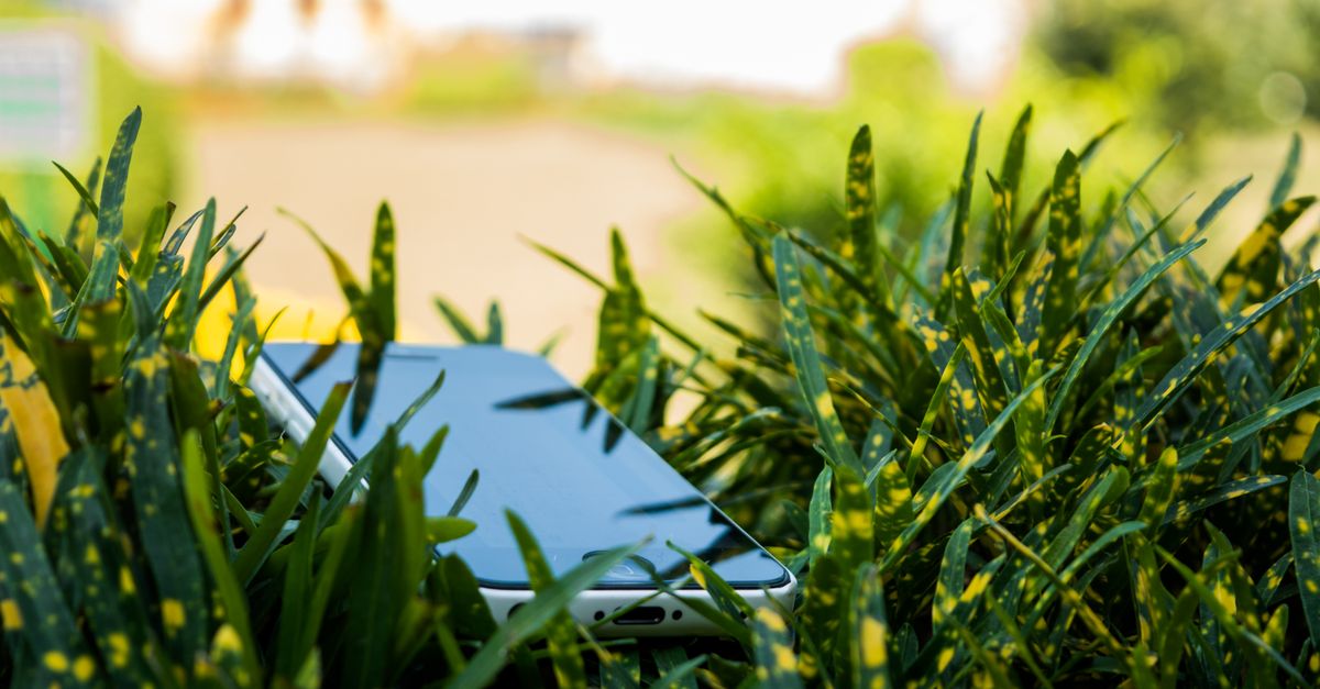 Cómo Realizar un Detox Digital para Tu Bienestar