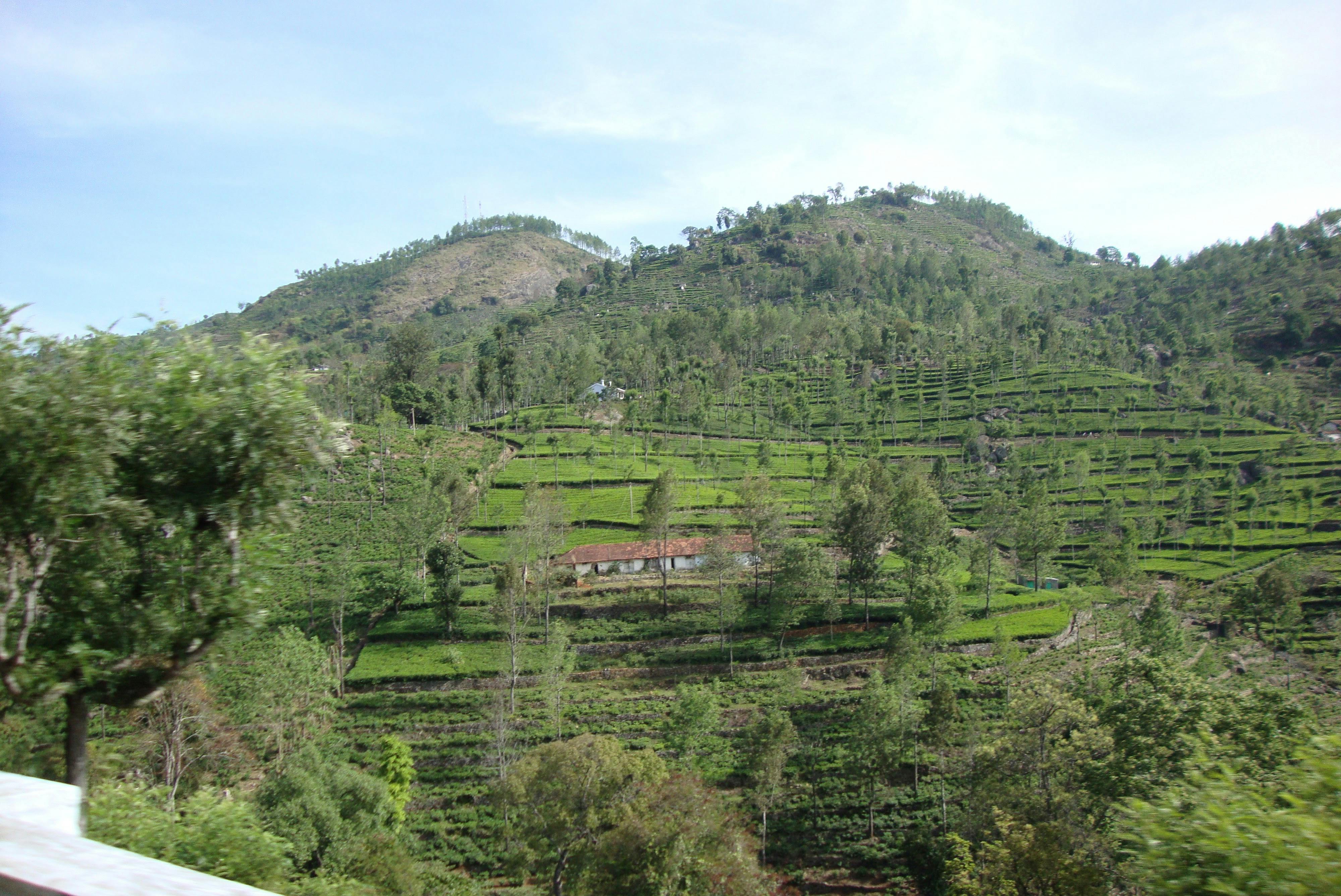 Flamingo Las Vegas Hotel mit rosa Akzenten