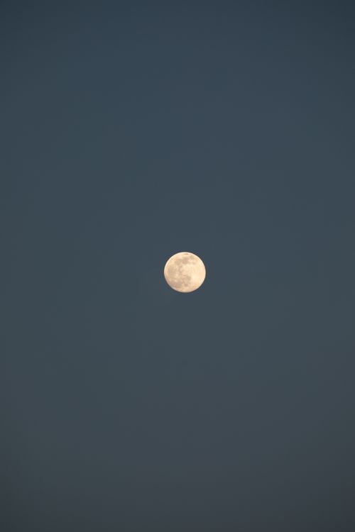 Free A clear view of a full moon glowing brightly against a dark night sky. Stock Photo