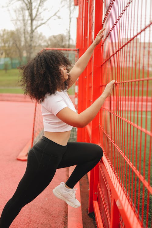 Foto d'estoc gratuïta de afro, cabell, de perfil