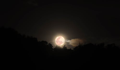 Foto d'estoc gratuïta de ambient nocturn, fons de la lluna, fotografia de lluna