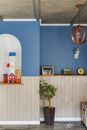 Green Potted Plant on White Wooden Shelf