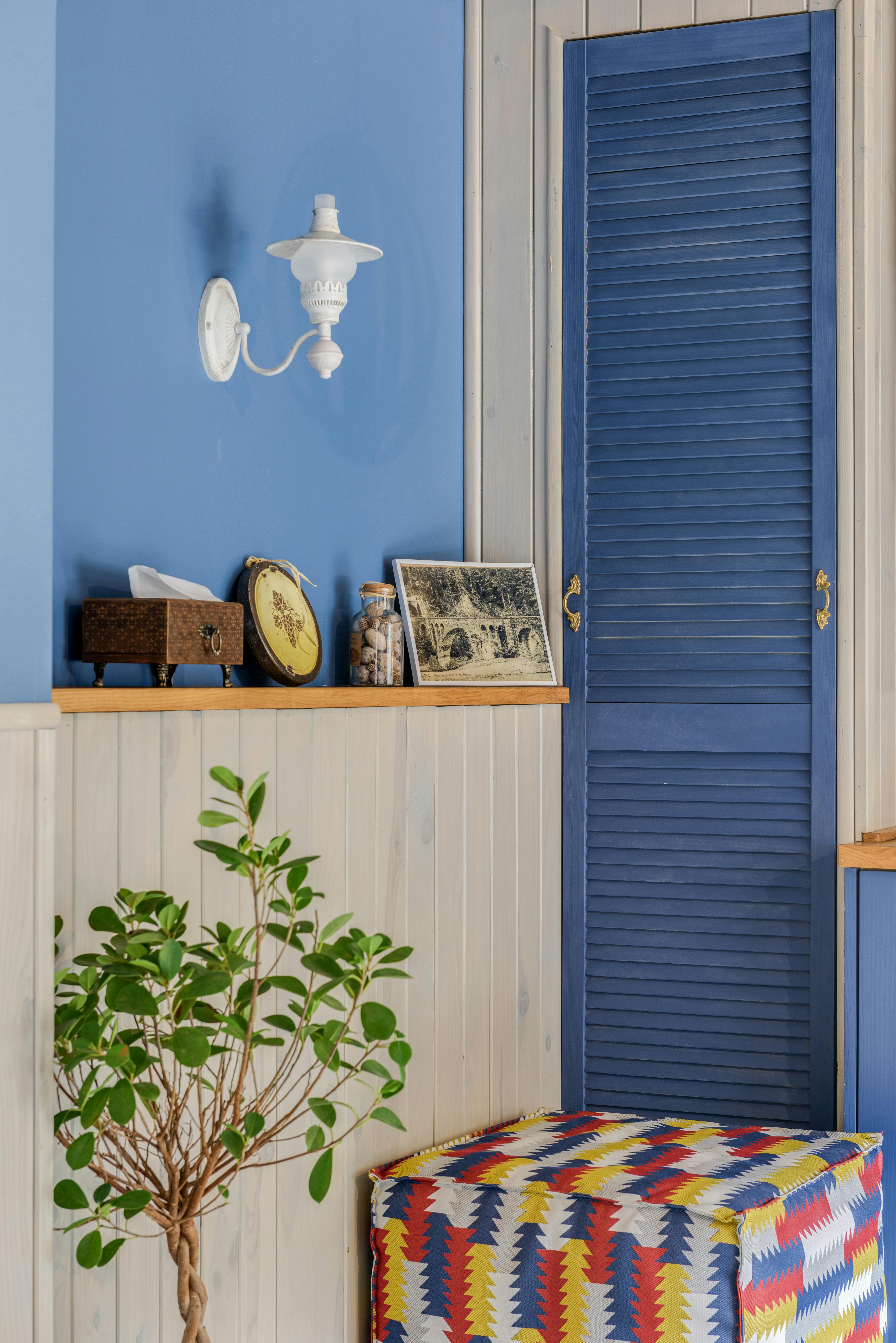 Free Cozy interior with blue walls featuring decor items and indoor plant. Stock Photo