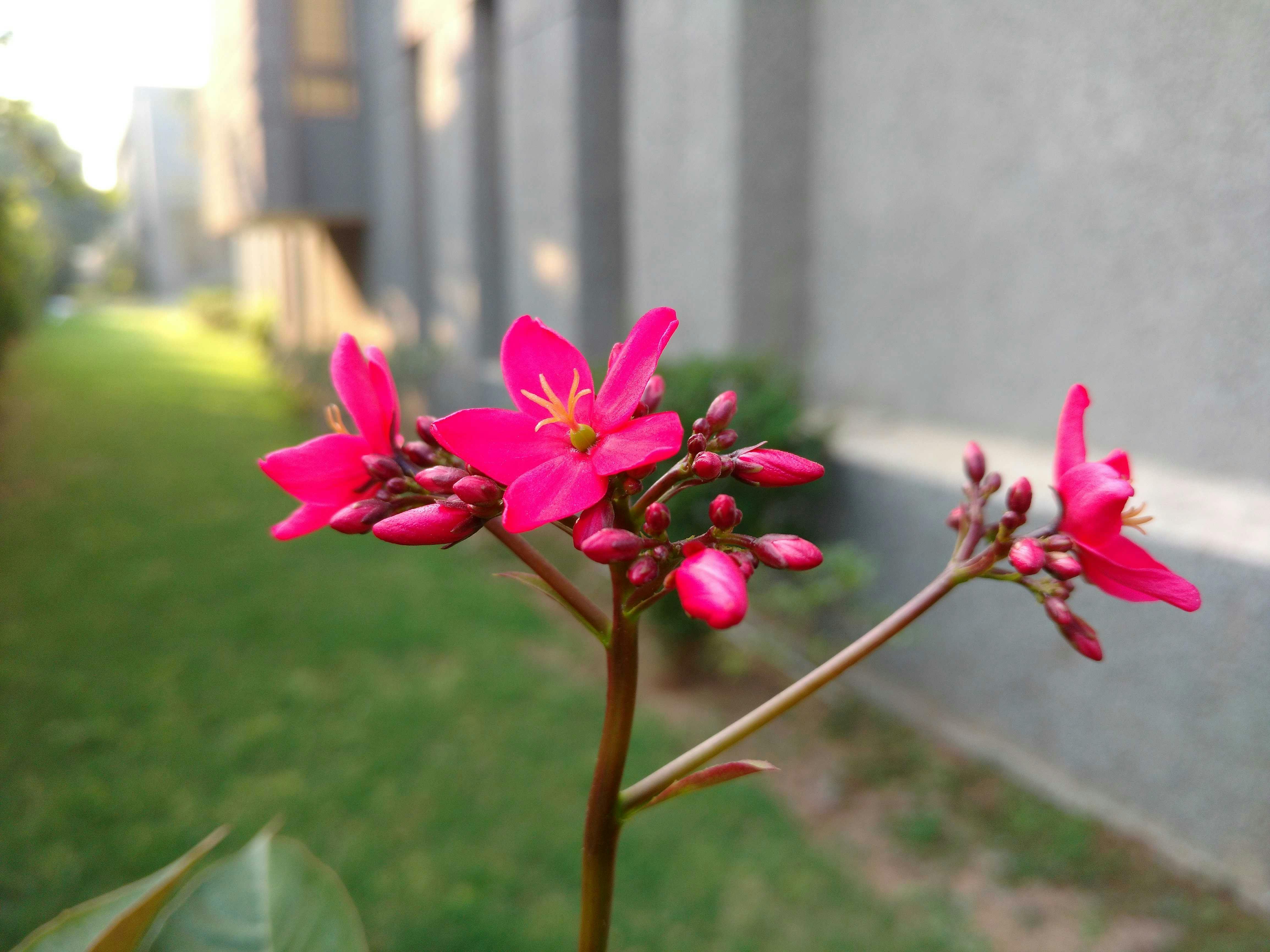 Top 10 Biggest Bollywood Box Office Hits of All Time cover image