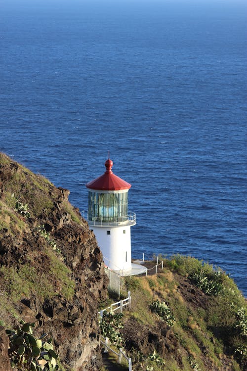 Free stock photo of oahu