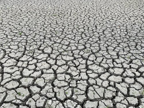 乾旱, 乾的, 全球暖化 的 免費圖庫相片