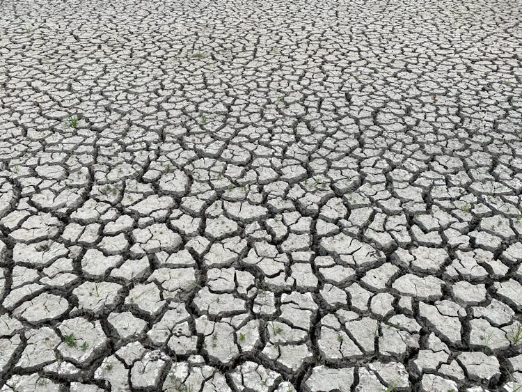 Photo Of Dry Cracked Ground