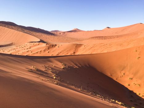 Sossusvlei dunes at sunrise — Namibia
