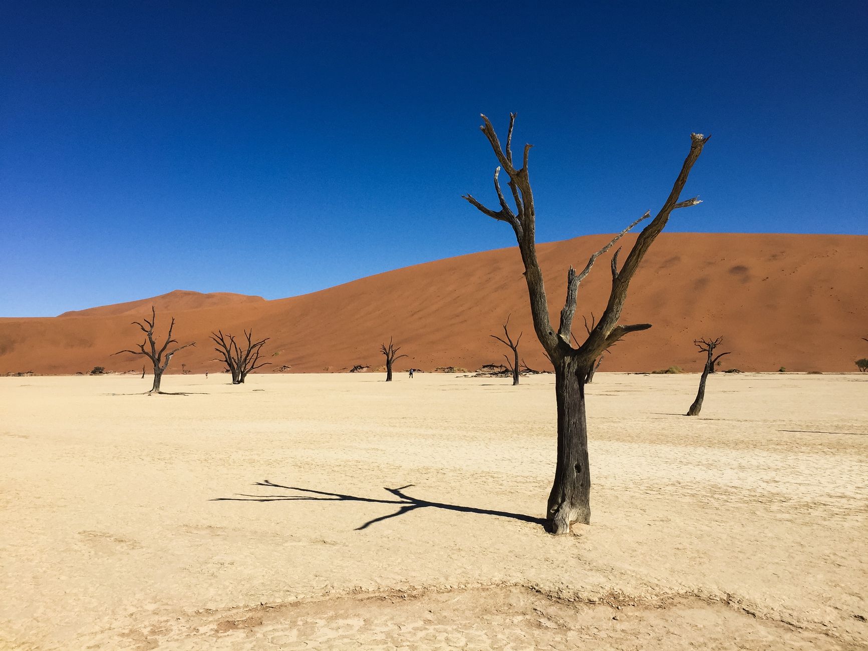 Namibia photo 4