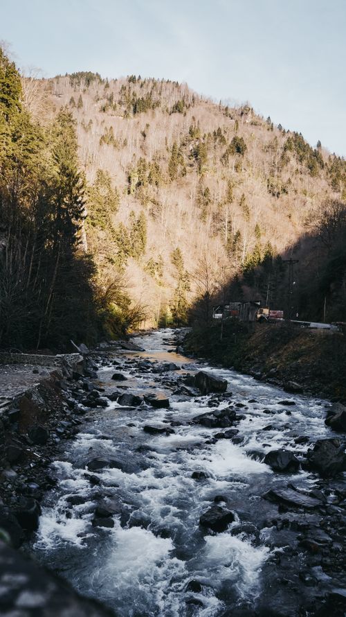 Free A serene mountain stream flows through a rocky terrain in Trabzon, Turkey, surrounded by lush forest. Stock Photo