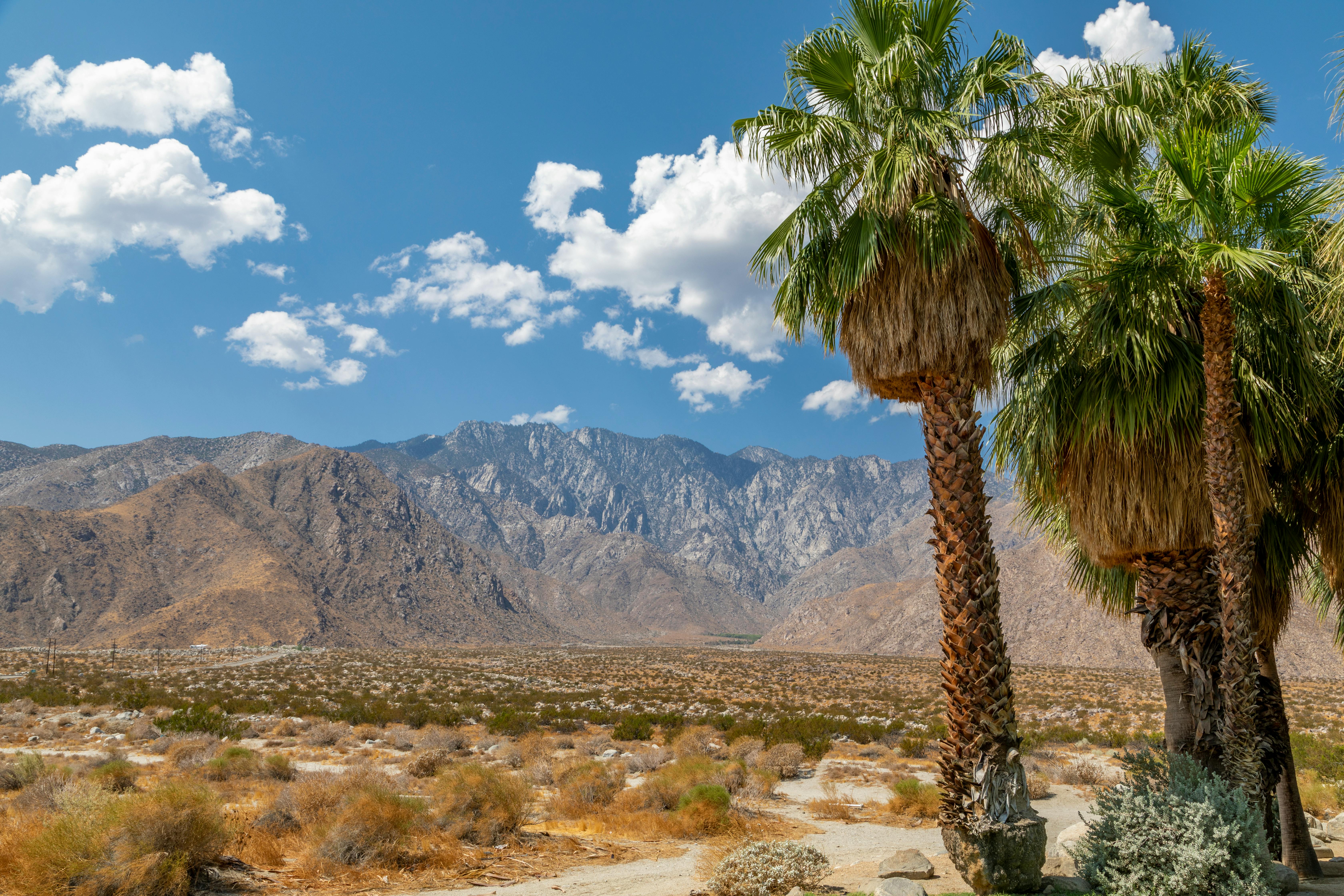 HD wallpaper beach with mountain range nearby palm tree near pool friend   Wallpaper Flare