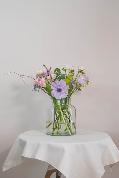 Imagine de stoc gratuită din decorațiune, floră, flori