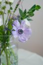 White and Purple Flower in Clear Glass Vase