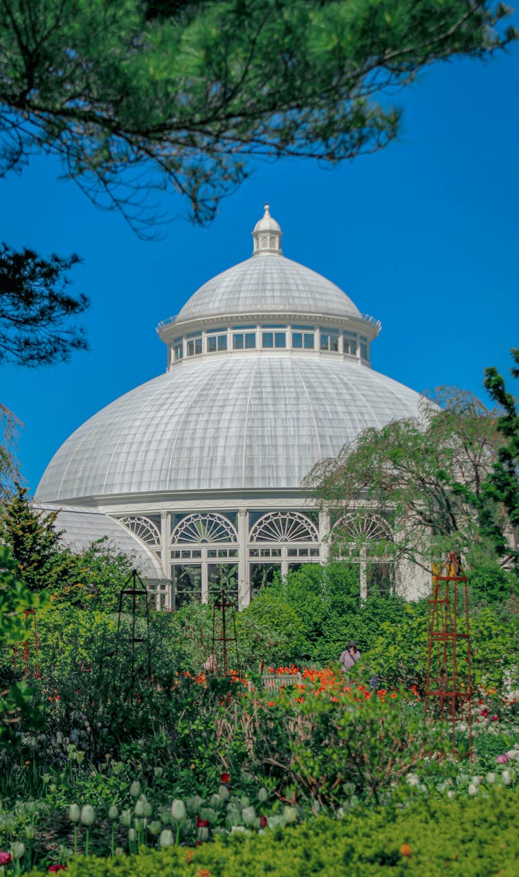 New York Botanical Garden Under Blue Sky