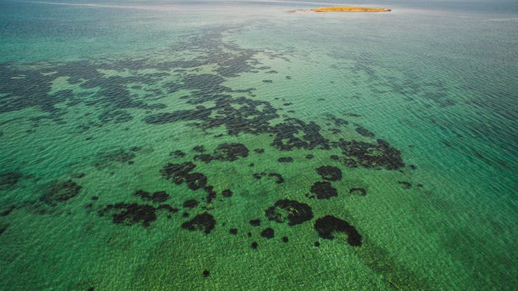 Coral Reefs  Under Turquoise Water