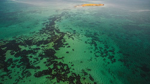 Základová fotografie zdarma na téma korál, letecká fotografie, moře
