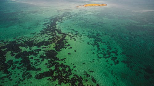 Aerial Photography of Turquoise Water