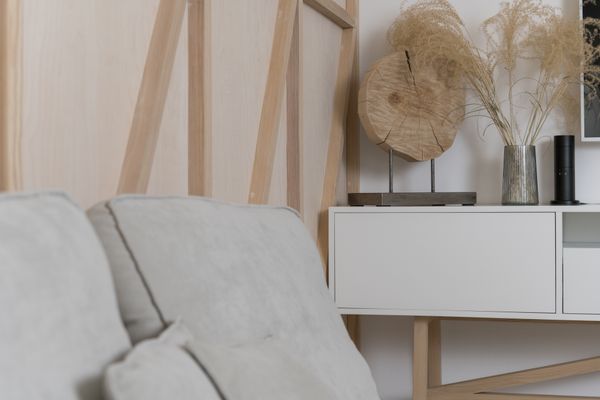 Minimalist interior with pampas grass