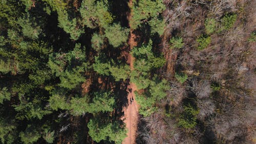 Kostnadsfri bild av fågelperspektiv, landskap, lugn