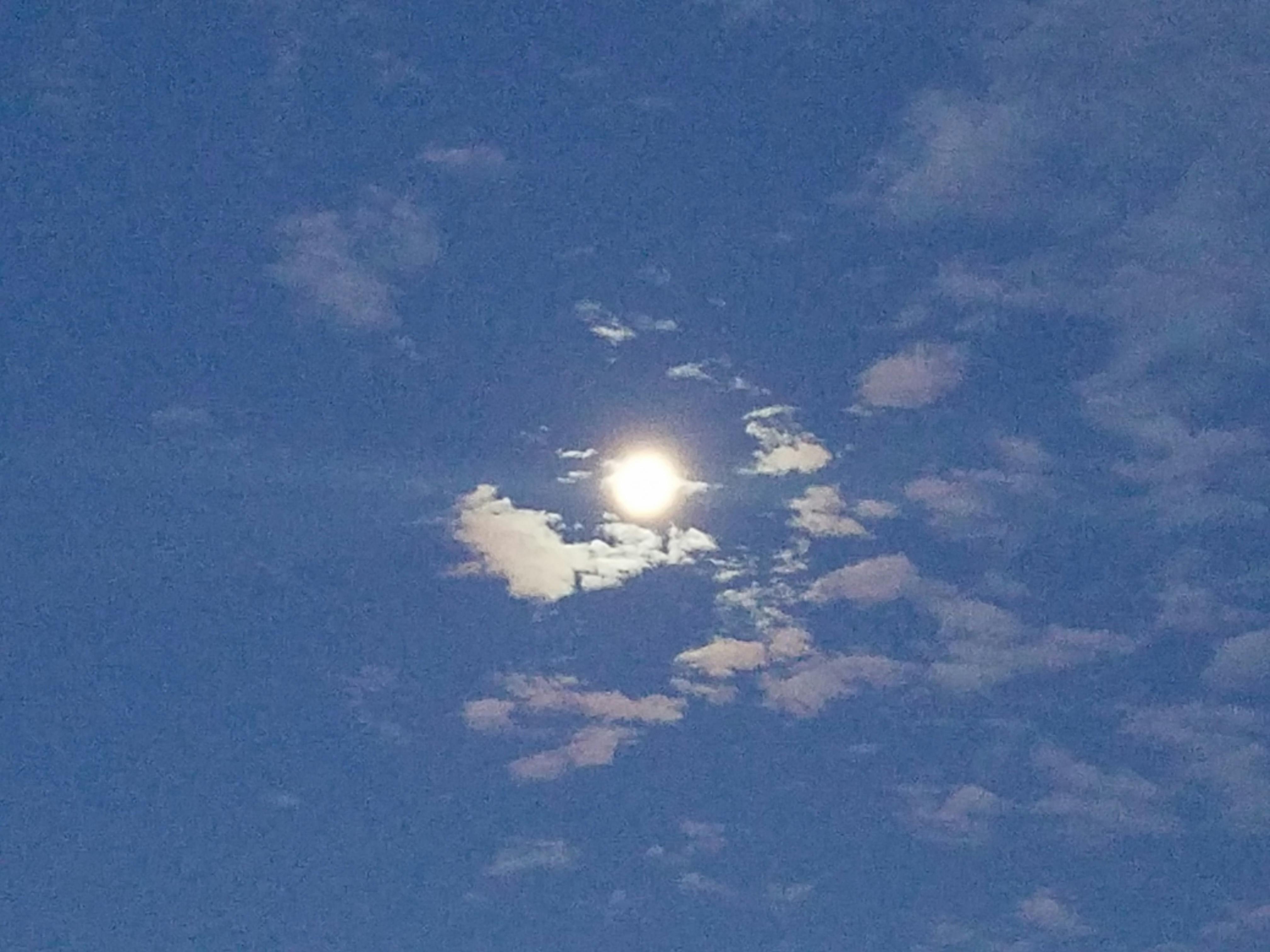 Free stock photo of Moon morning