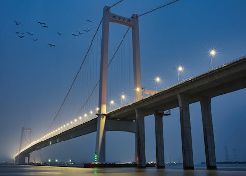 Kostenloses Stock Foto zu beleuchtung, brücke, china