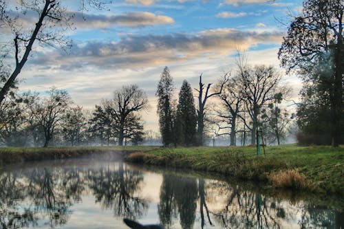 Pemandangan Hutan Sungai