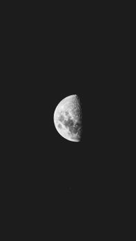 Striking black and white photograph of the half moon captured in a clear night sky.