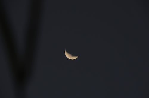 スペース, 三日月, 夜空の無料の写真素材