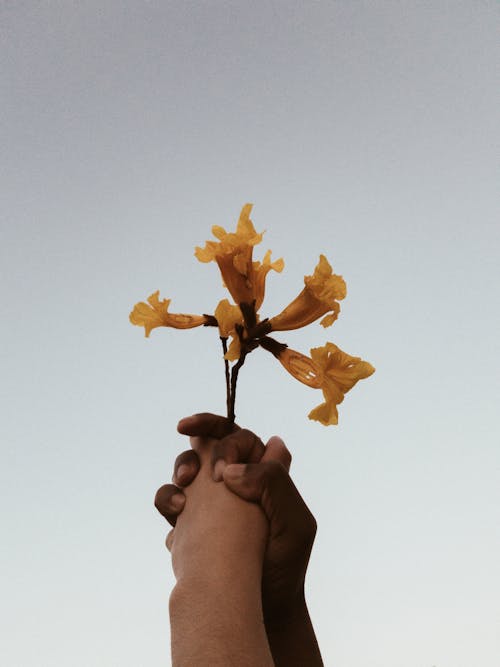 Foto profissional grátis de abstrato, amarelo, amor