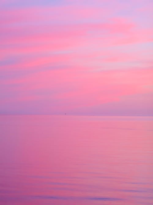 Foto stok gratis awan, berwarna merah muda, Fajar