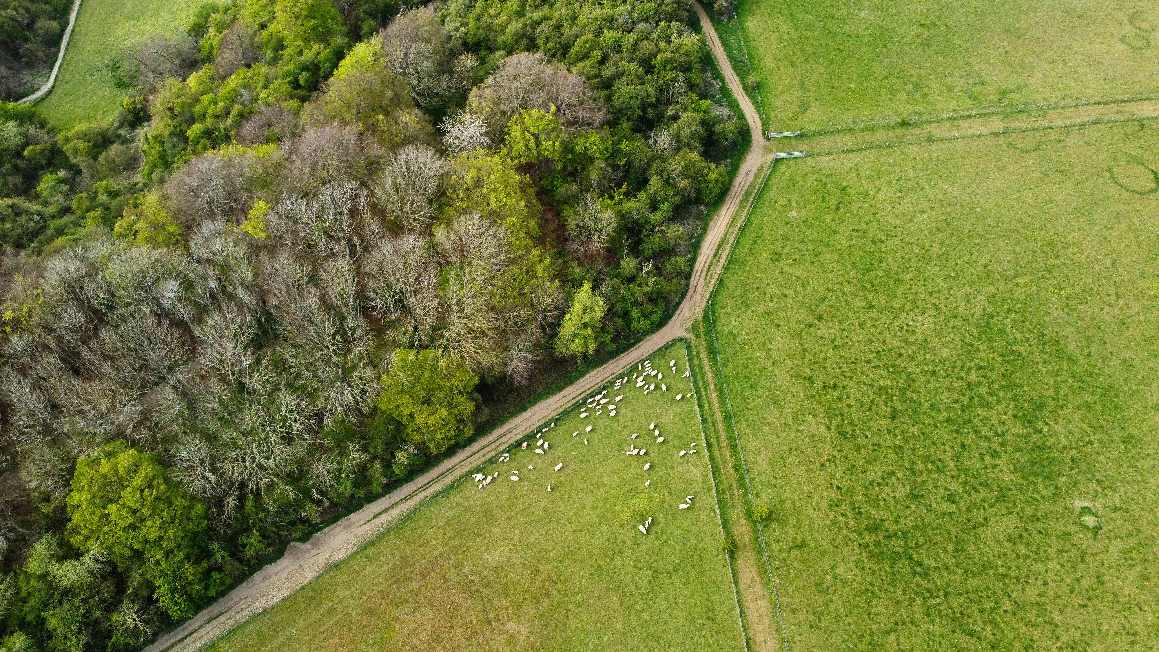 FCC moves to treat Starlink as substitute for fiber in $4.5B rural subsidy