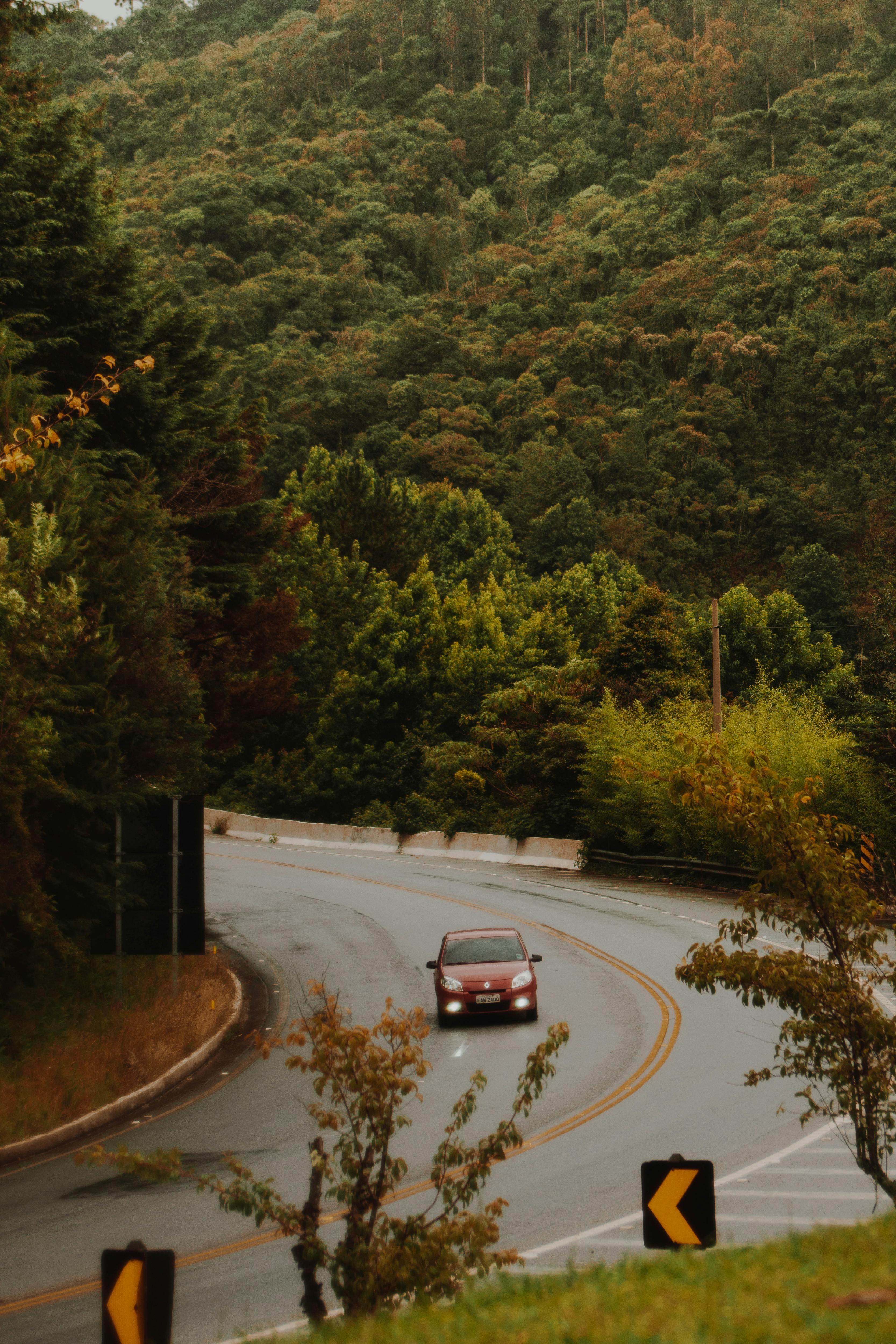 Red Car Travels on the Curved Road