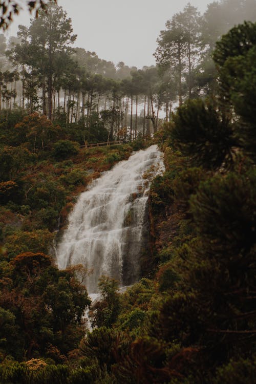 бесплатная Фотография природы водопадов Стоковое фото