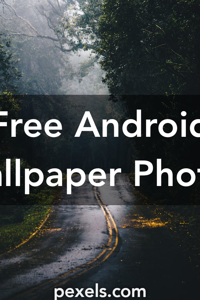 Android Wallpapers Pexels Free Stock Photos