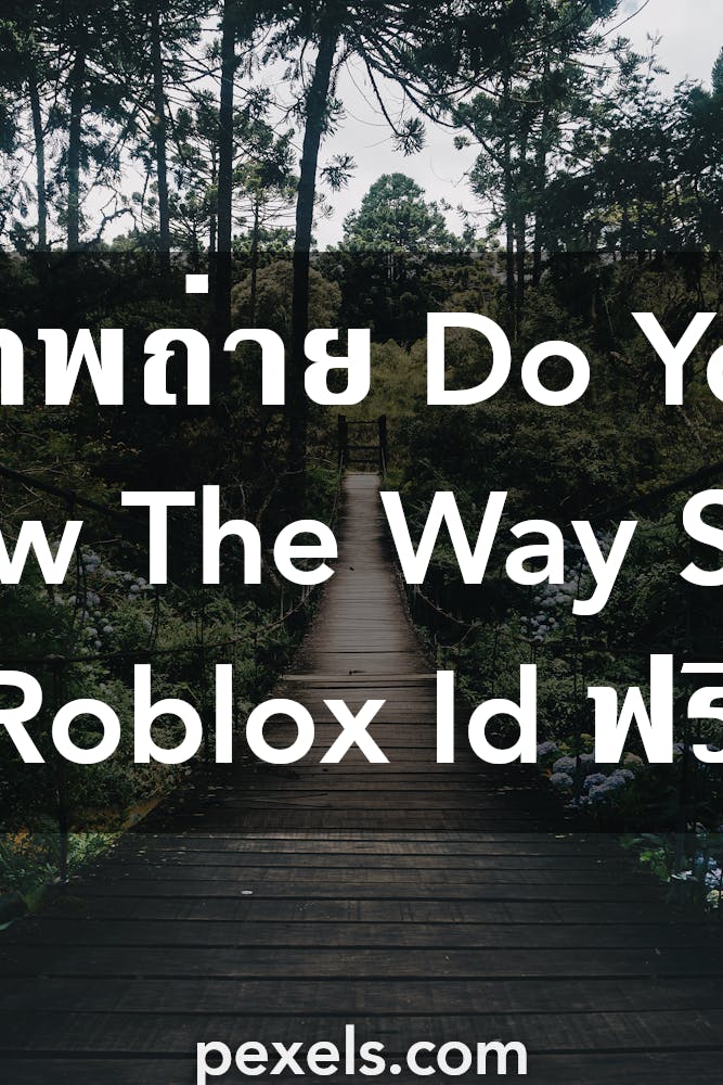 250 ภาพถาย Do You Know The Way Song Roblox Id Pexels - can i find a roblox song with the song id