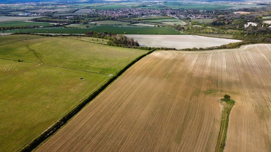 Fotomural Toma aérea que captura los extensos campos agrícolas de Streatley, Inglaterra, mostrando tierras verdes y cultivadas.