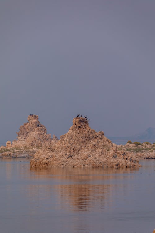 Бесплатное стоковое фото с берег, вертикальный выстрел, вода