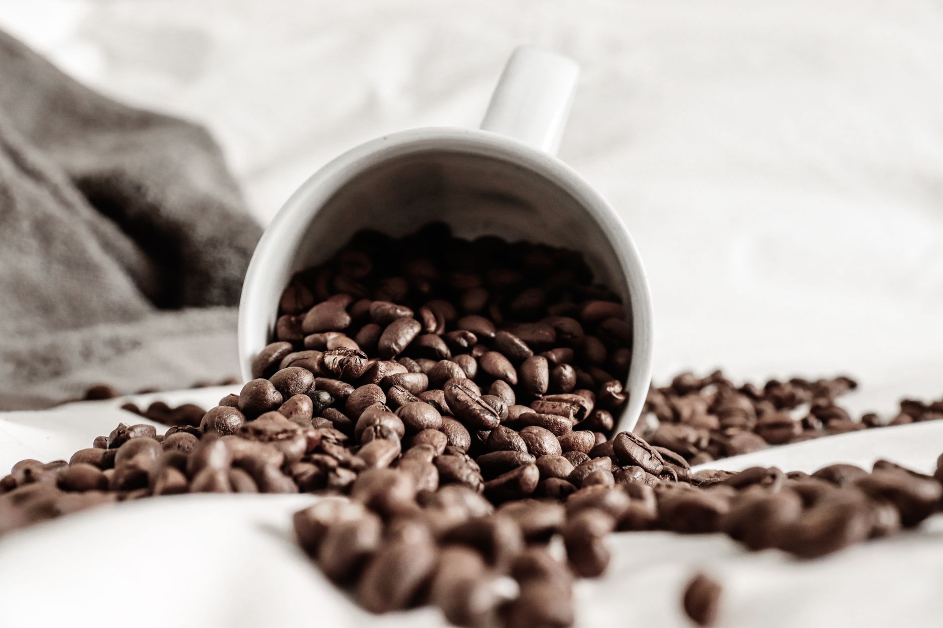 Coffee grinder and ground coffee ready for brewing