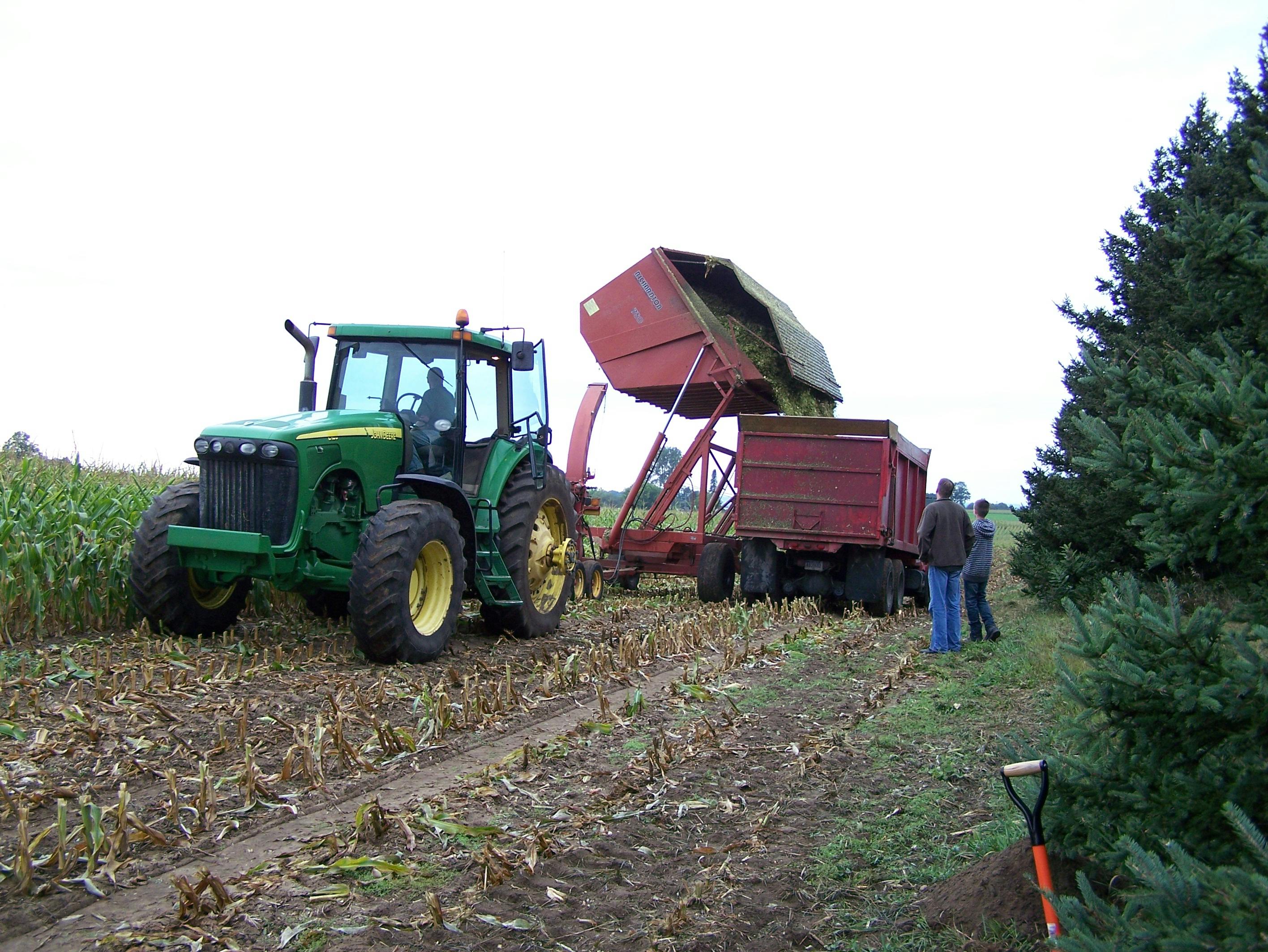 Brazilian social connection