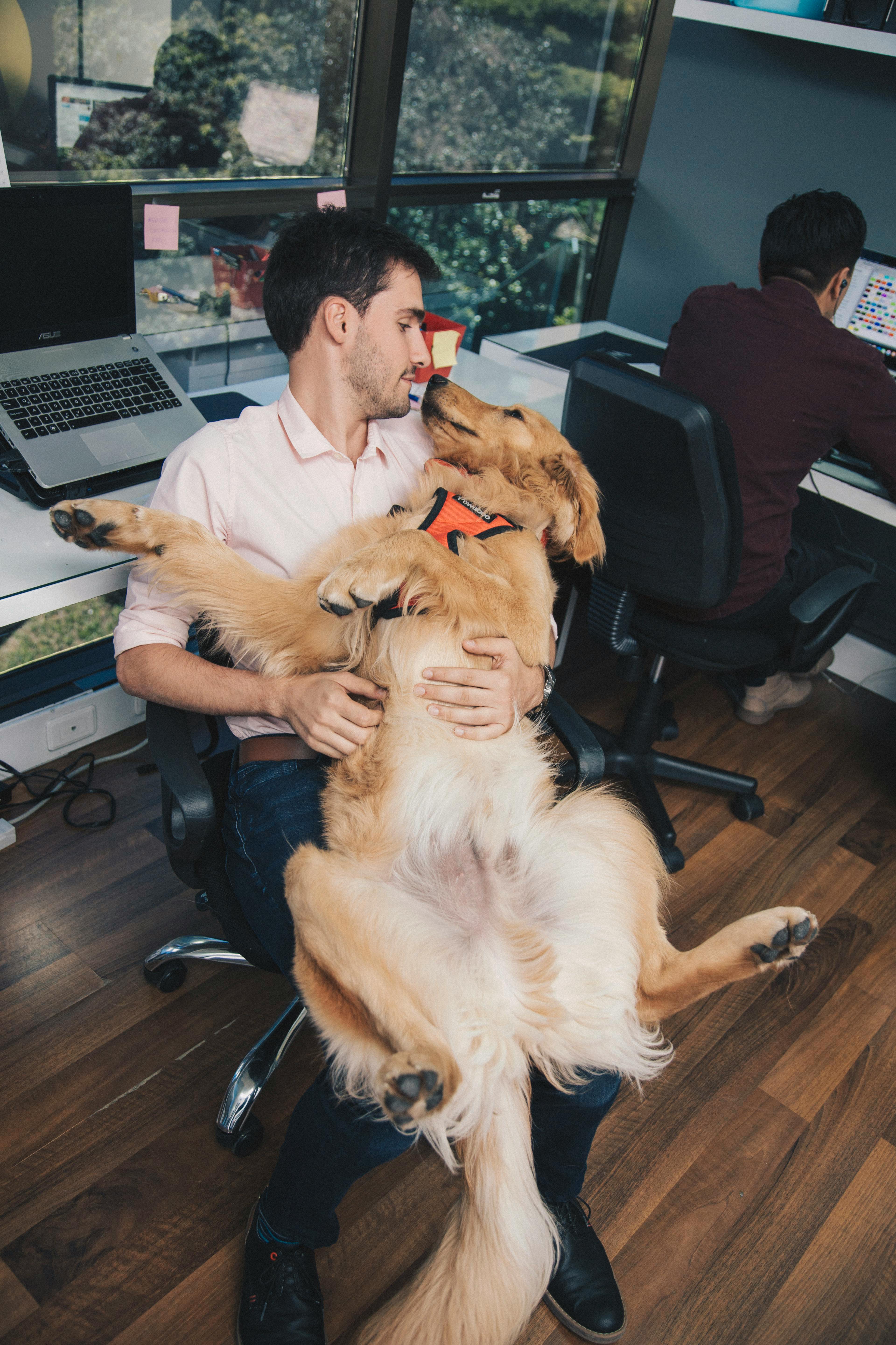 men in an office working holding a dog