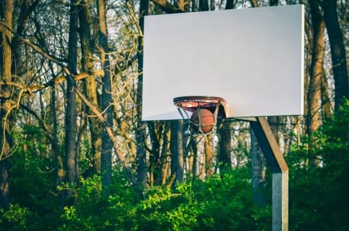 Free An outdoor basketball hoop amidst a natural forest environment, perfect for sports activities. Stock Photo
