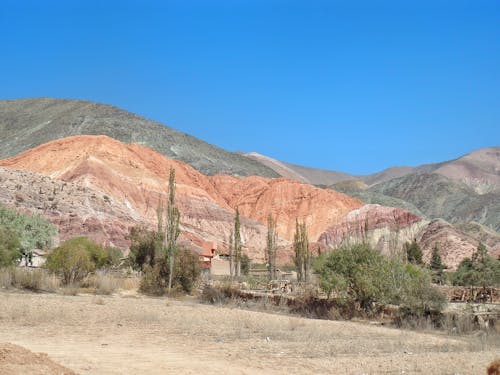 Foto d'estoc gratuïta de arbres verds, cel blau, desert