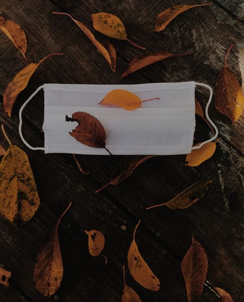 Free A face mask on a rustic wooden surface surrounded by autumn leaves. Stock Photo